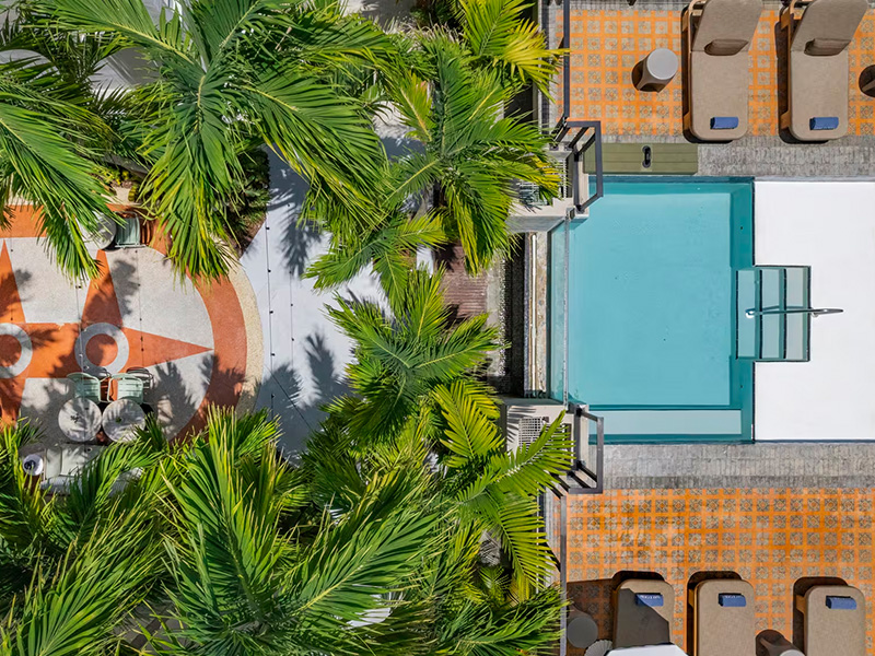 a pool and palm trees
